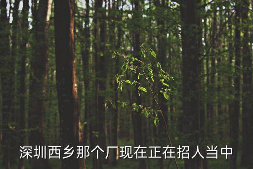 深圳西鄉瑞天祥公司簡介，深圳西鄉那個廠現在正在招人當中