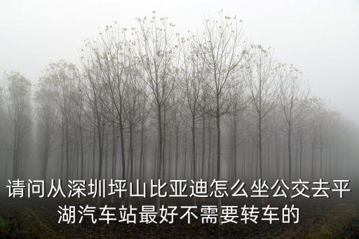 請問從深圳坪山比亞迪怎么坐公交去平湖汽車站最好不需要轉車的