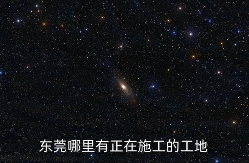 東莞樟木頭工地食堂承包渠道，東莞有沒工廠飯?zhí)贸邪鋈?有的告訴我下