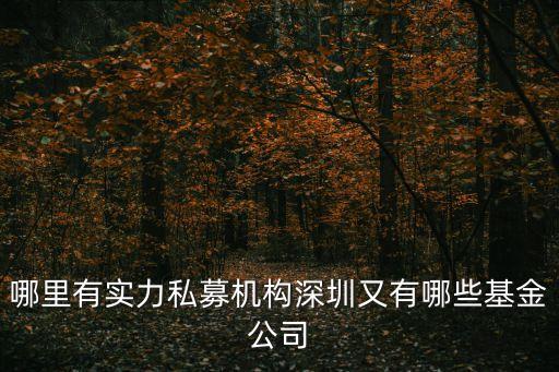 哪里有實力私募機構深圳又有哪些基金公司