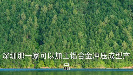深圳那一家可以加工鋁合金沖壓成型產品