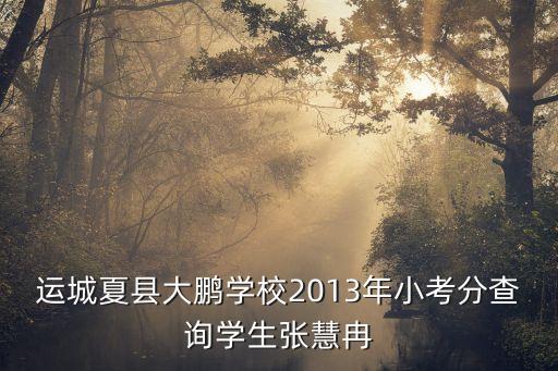 東莞常平護(hù)士王曉榮，運(yùn)城夏縣大鵬學(xué)校2013年小考分查詢學(xué)生張慧冉