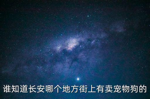 誰知道長安哪個地方街上有賣寵物狗的