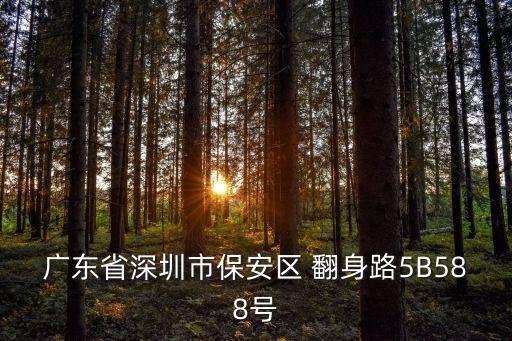 廣東省深圳市保安區 翻身路5B588號