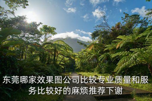 東莞哪家效果圖公司比較專業(yè)質(zhì)量和服務(wù)比較好的麻煩推薦下謝