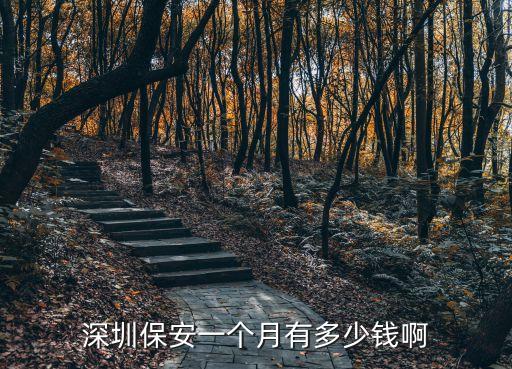 深圳保安一個月有多少錢啊