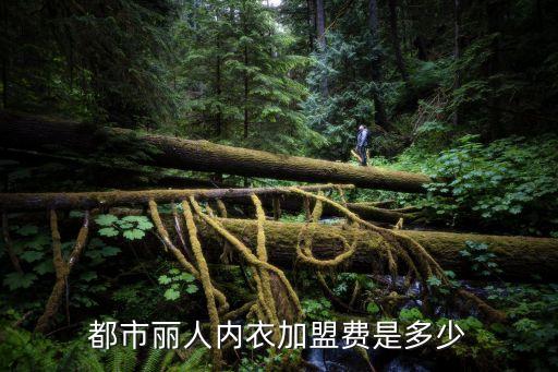 都市麗人內衣加盟費是多少