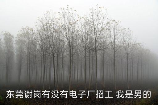 東莞謝崗有沒有電子廠招工 我是男的