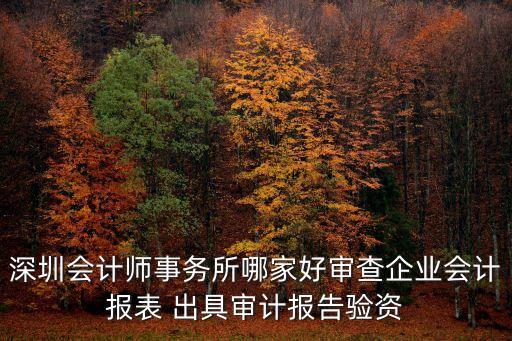 深圳會計師事務所哪家好審查企業會計報表 出具審計報告驗資