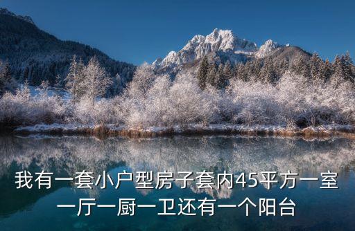 我有一套小戶(hù)型房子套內(nèi)45平方一室一廳一廚一衛(wèi)還有一個(gè)陽(yáng)臺(tái)