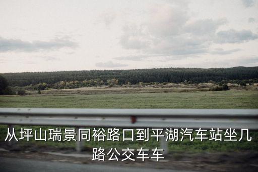 從坪山瑞景同裕路口到平湖汽車站坐幾路公交車車