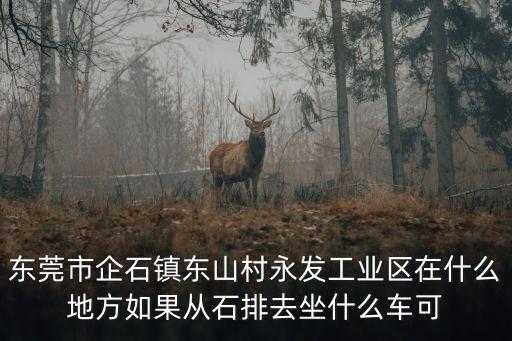 東莞市企石鎮東山村永發工業區在什么地方如果從石排去坐什么車可