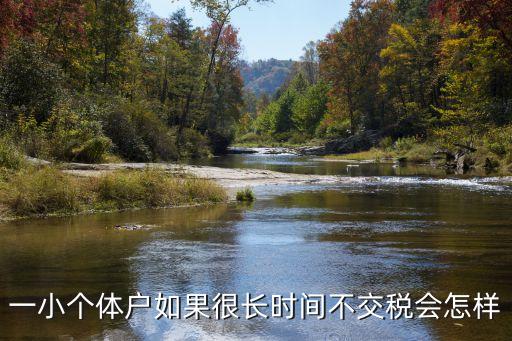 深圳個(gè)體戶不報(bào)稅有影響嗎，我辦了營(yíng)業(yè)執(zhí)照還沒報(bào)稅如果不報(bào)稅的話會(huì)有什么后果