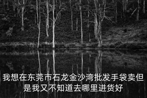 我想在東莞市石龍金沙灣批發手袋賣但是我又不知道去哪里進貨好