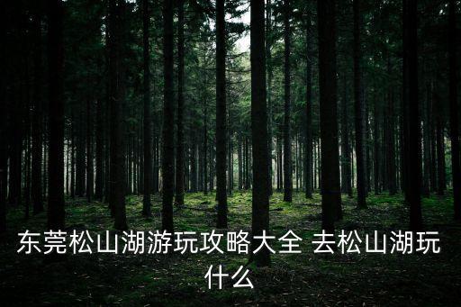 東莞松山湖游玩攻略大全 去松山湖玩什么