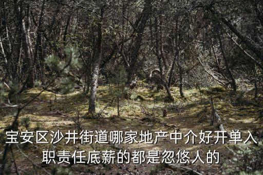 深圳沙井哪里中介好，深圳沙井哪個職介所好點
