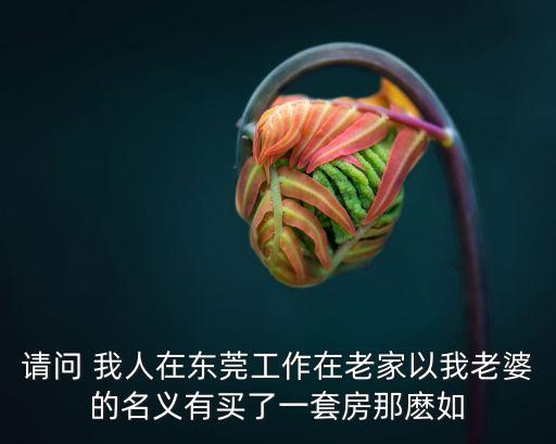 首套房在深圳買好還是東莞，月薪2萬24歲現在深圳福田上班想買房了在深圳買好還是在東