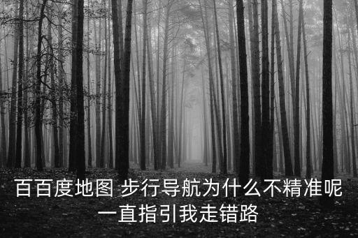 百百度地圖 步行導(dǎo)航為什么不精準(zhǔn)呢一直指引我走錯(cuò)路