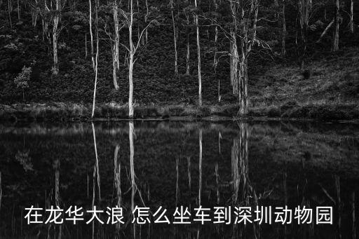 大浪到深圳兒童公園怎么坐車，深圳兒童公園坐車路線