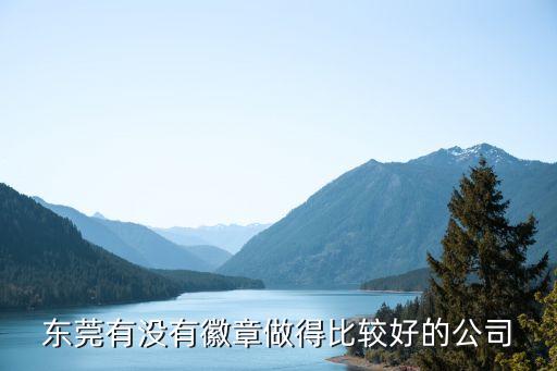 東莞有沒有徽章做得比較好的公司