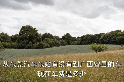 從東莞汽車東站有沒有到廣西容縣的車現在車費是多少