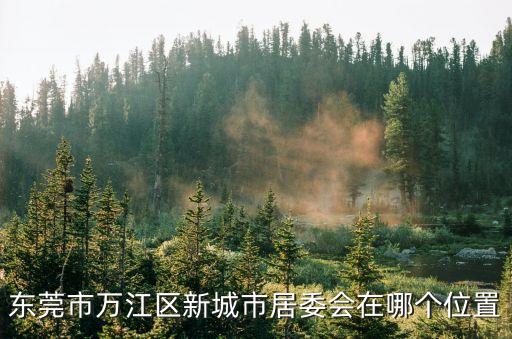 東莞市萬江區新城市居委會在哪個位置