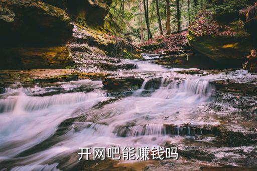開網(wǎng)吧能賺錢嗎
