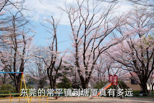 東莞的常平鎮(zhèn)到塘廈真有多遠