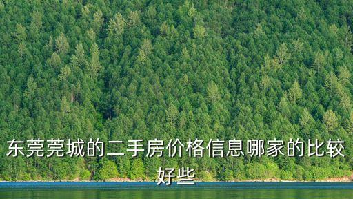 東莞莞城的二手房價格信息哪家的比較好些