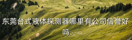 東莞臺(tái)式液體探測(cè)器哪里有公司信譽(yù)好嗎