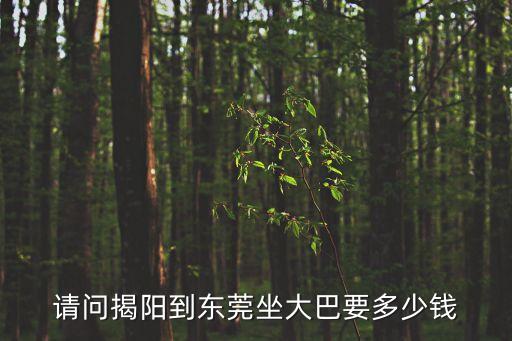 揭西縣到東莞市坐大巴多少錢，請問揭陽到東莞坐大巴要多少錢