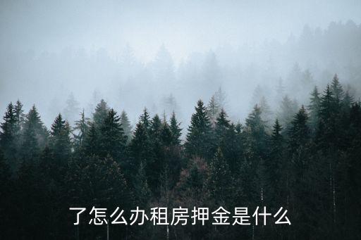 了怎么辦租房押金是什么