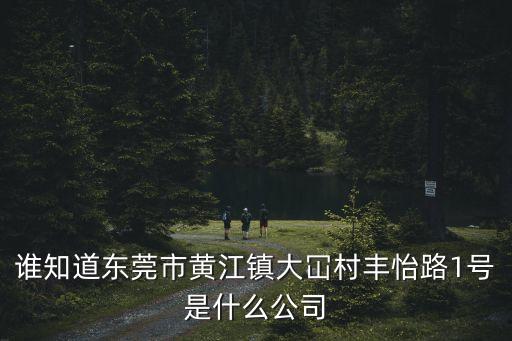 誰知道東莞市黃江鎮大冚村豐怡路1號是什么公司