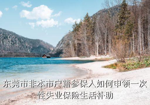 東莞市非本市戶籍參保人如何申領(lǐng)一次性失業(yè)保險(xiǎn)生活補(bǔ)助