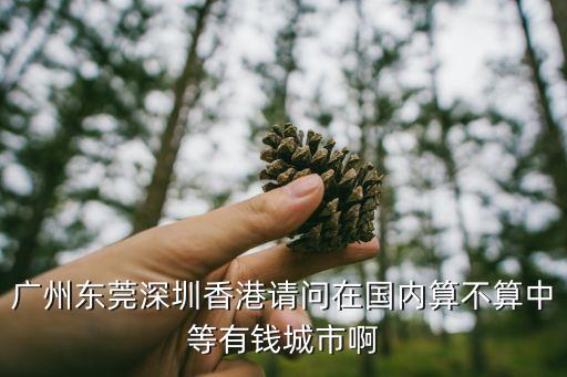 廣州東莞深圳香港請問在國內算不算中等有錢城市啊