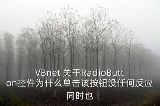 深圳十三店海底撈大堂經(jīng)理姓名，VBnet 關(guān)于RadioButton控件為什么單擊該按鈕沒任何反應(yīng)同時(shí)也