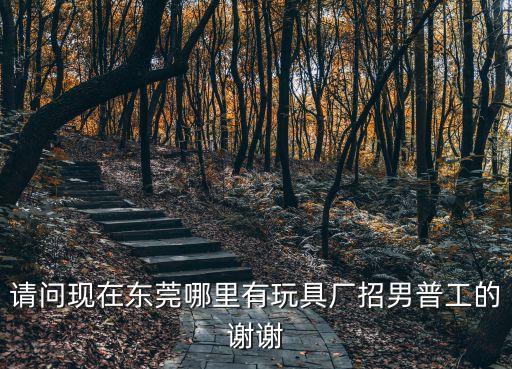 東莞鳳崗官井頭明泰玩具廠，東莞工業區哪有玩具工廠
