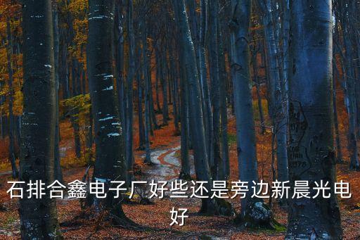 石排合鑫電子廠好些還是旁邊新晨光電好