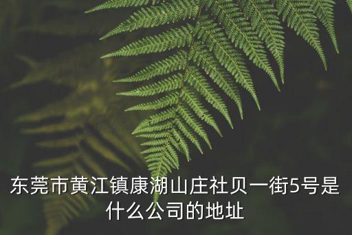 東莞市黃江鎮(zhèn)康湖山莊社貝一街5號是什么公司的地址
