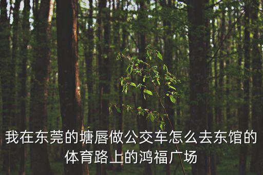 我在東莞的塘唇做公交車怎么去東館的體育路上的鴻福廣場(chǎng)