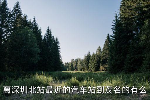 離深圳北站最近的汽車站到茂名的有么