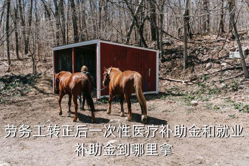 東莞一次性就業補助金怎么領取，東莞大學生就業補貼