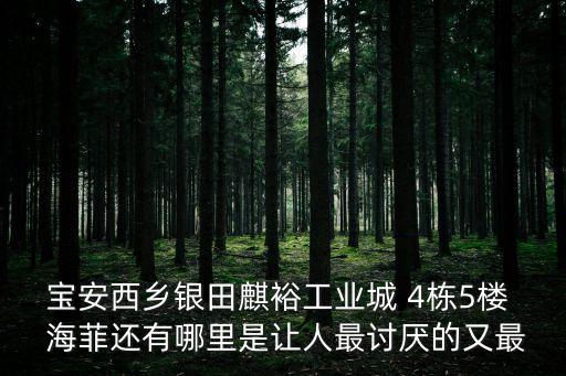 寶安西鄉銀田麒裕工業城 4棟5樓  海菲還有哪里是讓人最討厭的又最