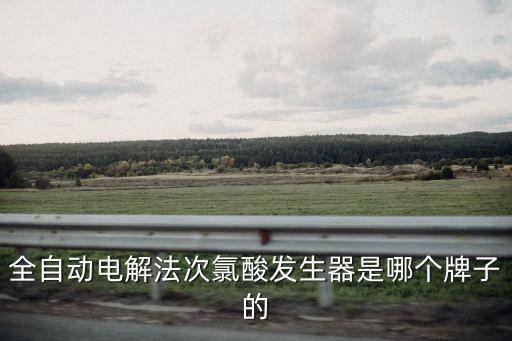 全自動電解法次氯酸發生器是哪個牌子的