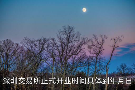 深圳交易所于什么正式營業，深圳交易所正式開業時間具體到年月日