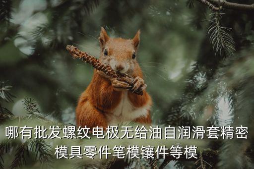 哪有批發螺紋電極無給油自潤滑套精密模具零件筆模鑲件等模
