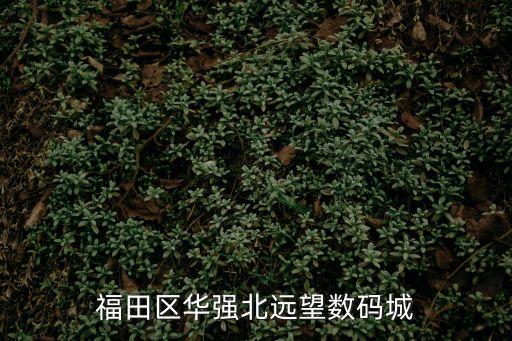 福田區(qū)華強北遠望數(shù)碼城