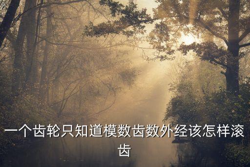 一個(gè)齒輪只知道模數(shù)齒數(shù)外經(jīng)該怎樣滾齒