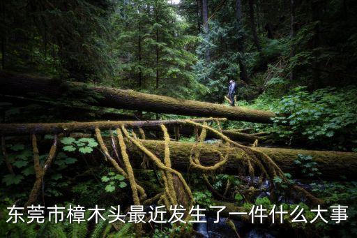 東莞市樟木頭最近發生了一件什么大事
