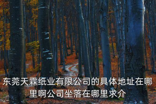 東莞天霖紙業有限公司的具體地址在哪里啊公司坐落在哪里求介